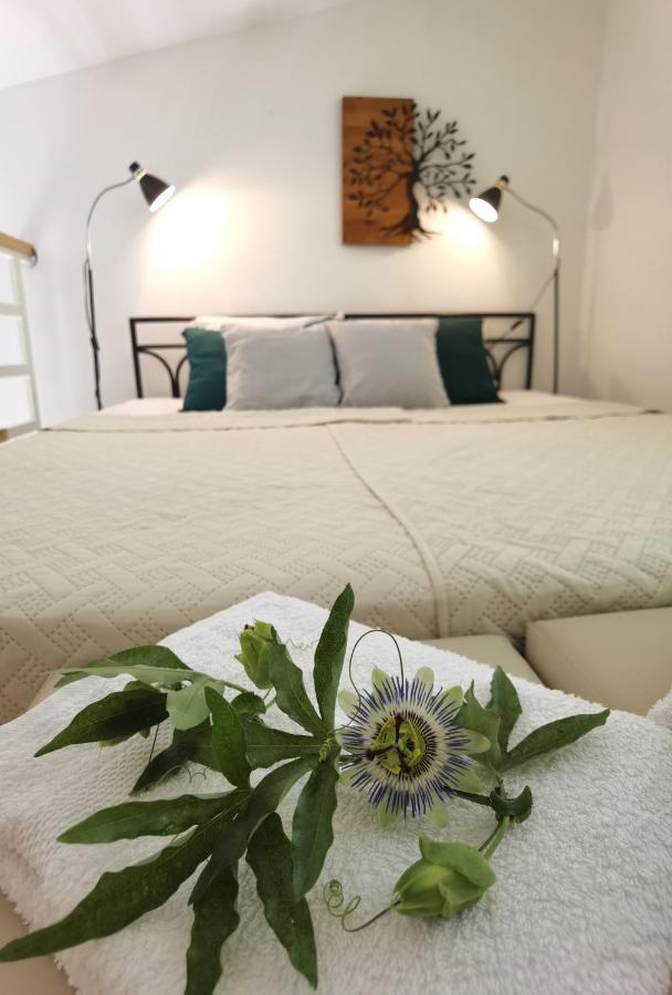 Zona Apartments 2 Zrenjanin Ngoại thất bức ảnh